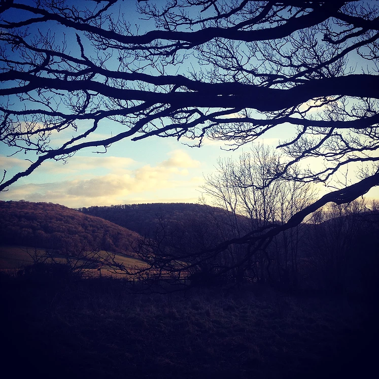 View of the Valley